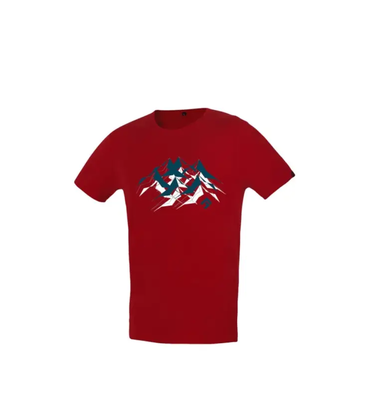 Pánské triko Direct Alpine Flash palisander (mountains) Must-Have
