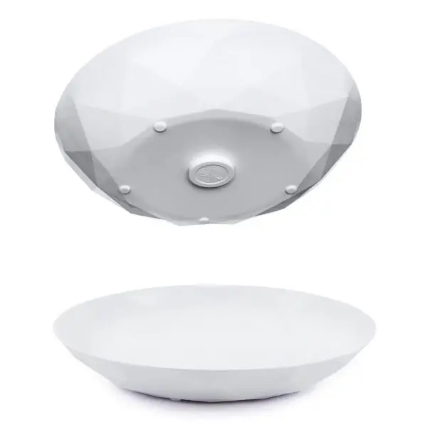 Časově Omezené Magnetický talíř Silwy 24 cm, 2 ks